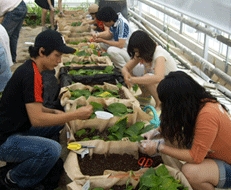 교내실습장 식물자원