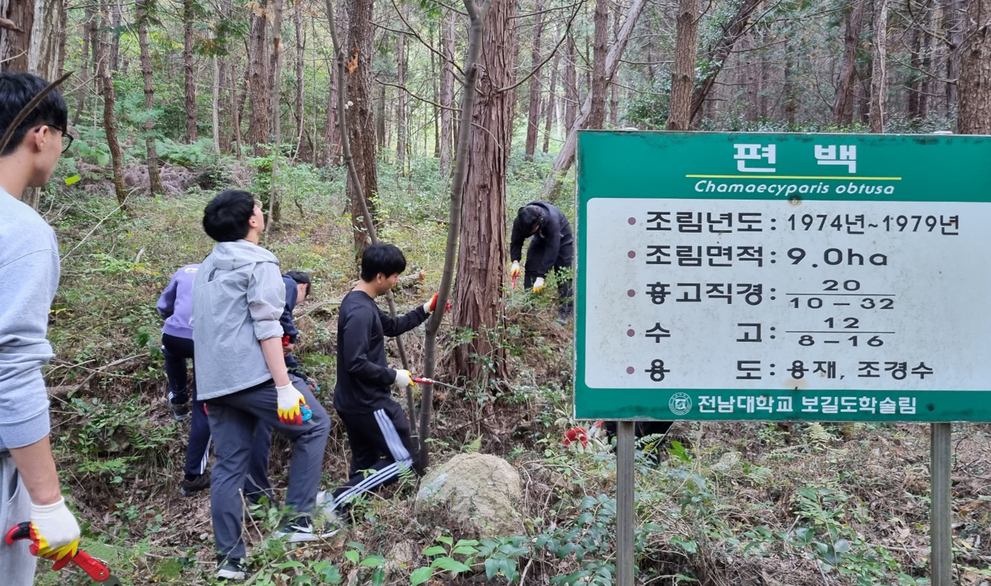 보길도학술림소개
